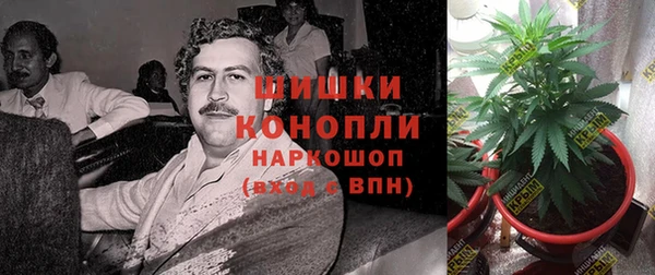 PSILOCYBIN Алексин