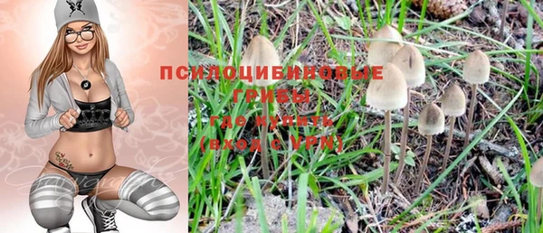 spice Галич