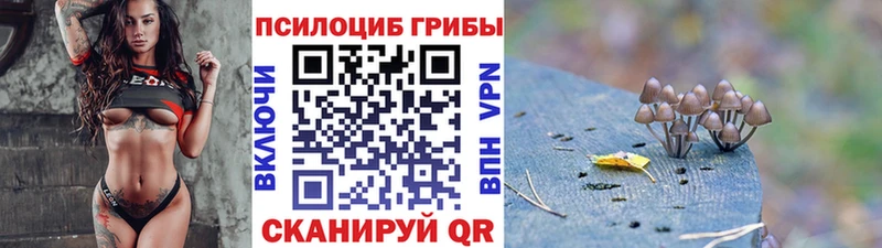Псилоцибиновые грибы Magic Shrooms  Нефтекумск 