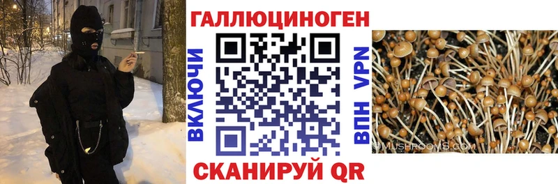Галлюциногенные грибы мухоморы Нефтекумск